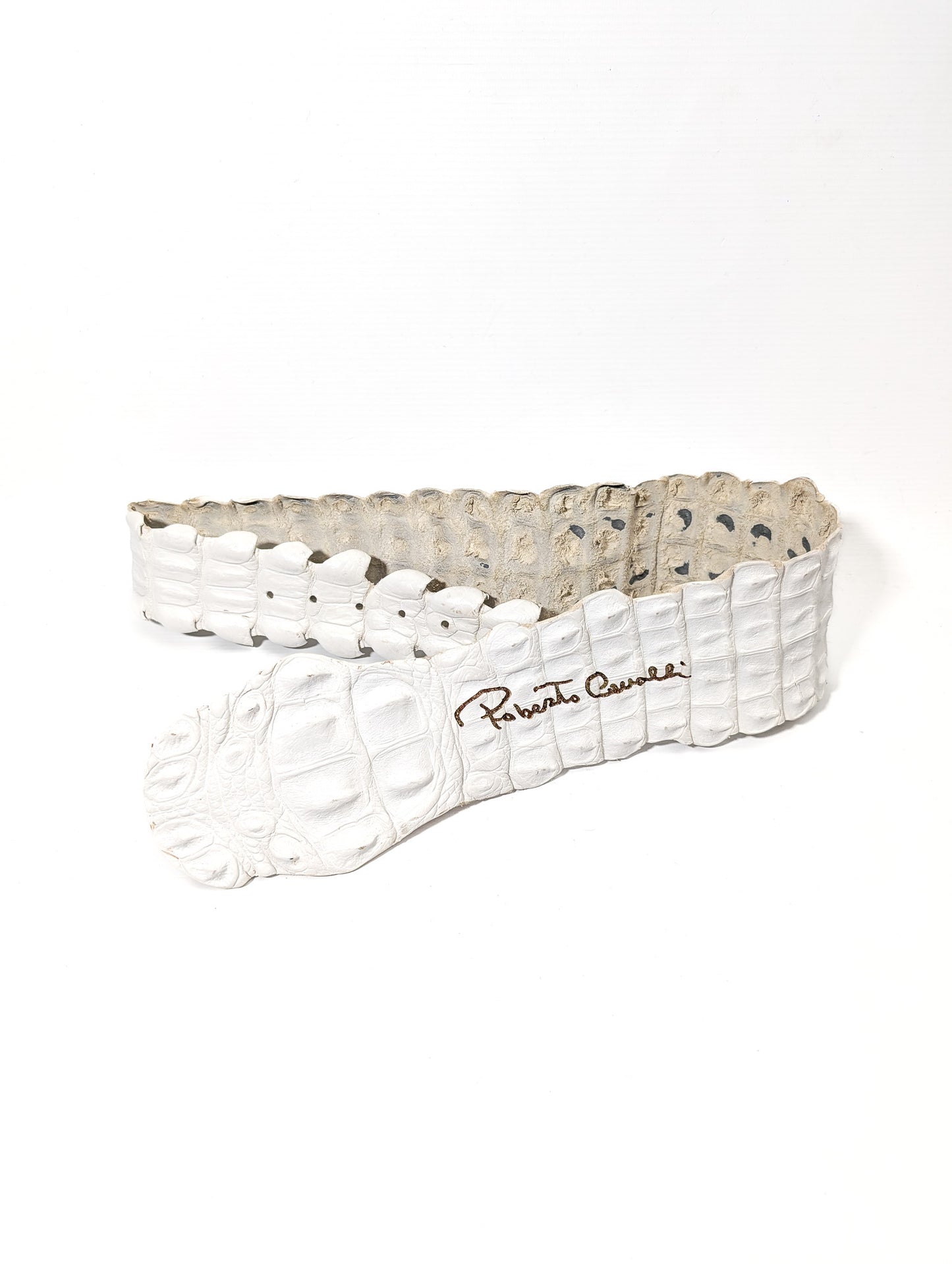 Roberto Cavalli belt in python