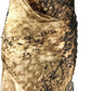 Roberto Cavalli Washed leopard silk dress F/W 2001- S