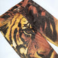 Roberto Cavalli "tiger" jeans - S