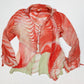 Roberto Cavalli Set