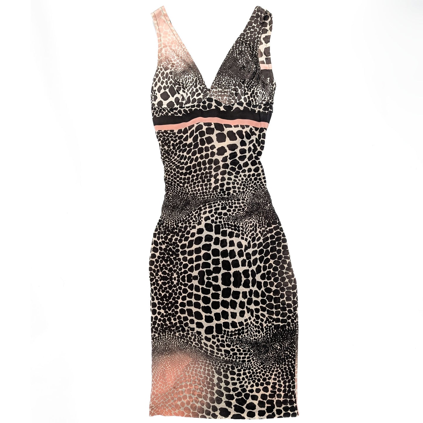 Roberto Cavalli S/S 2004 Dress