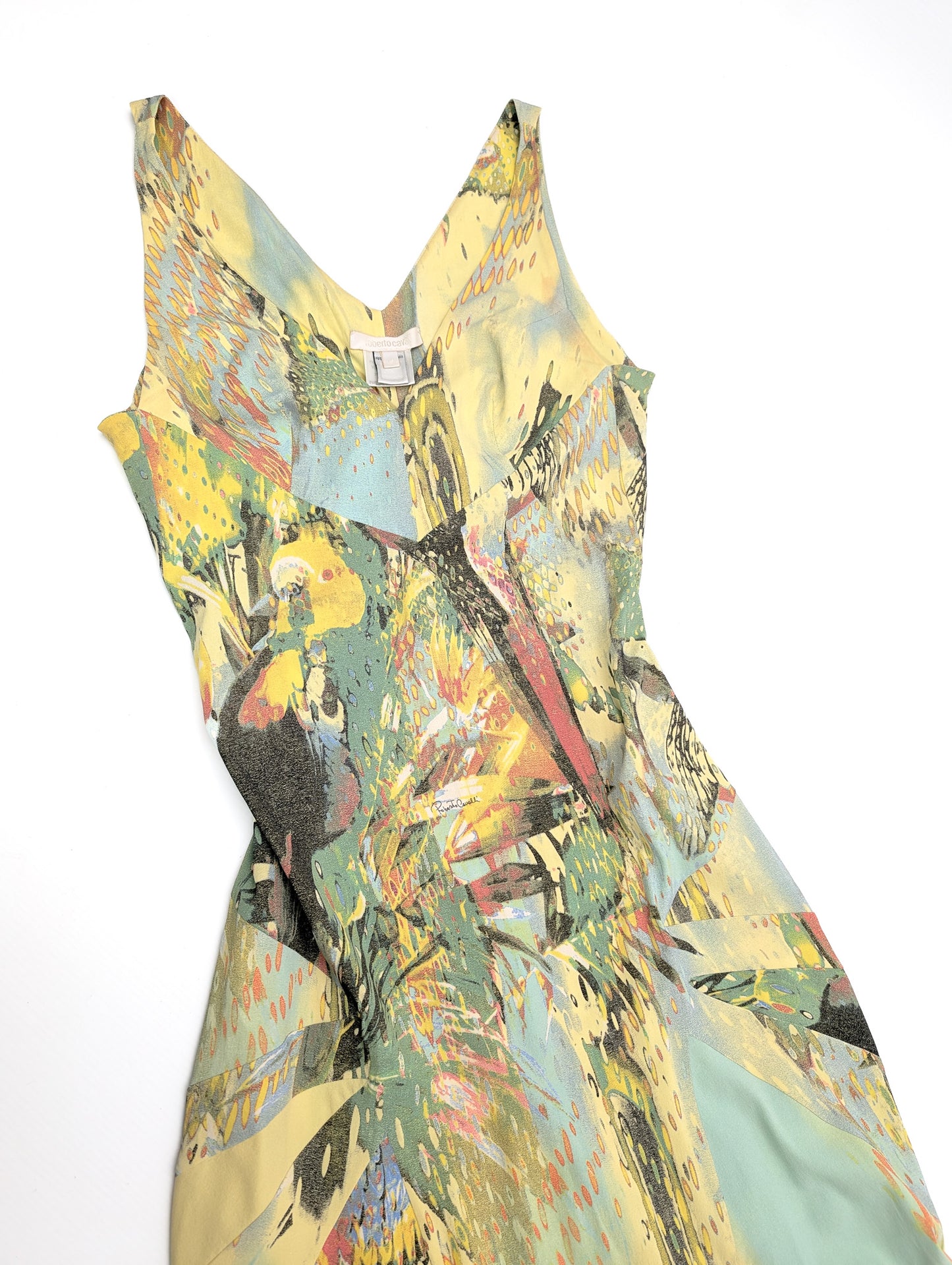 Roberto Cavalli dress