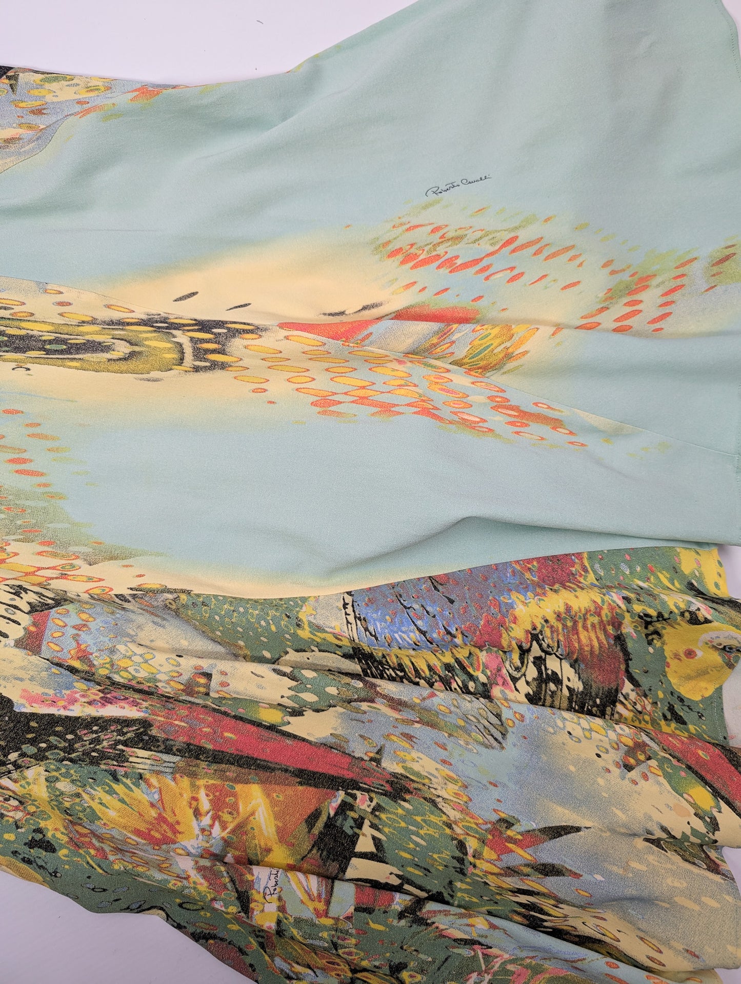 Roberto Cavalli dress