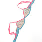 Roberto Cavalli bra