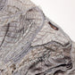 Roberto Cavalli S/S 2011 Tunic / Dress