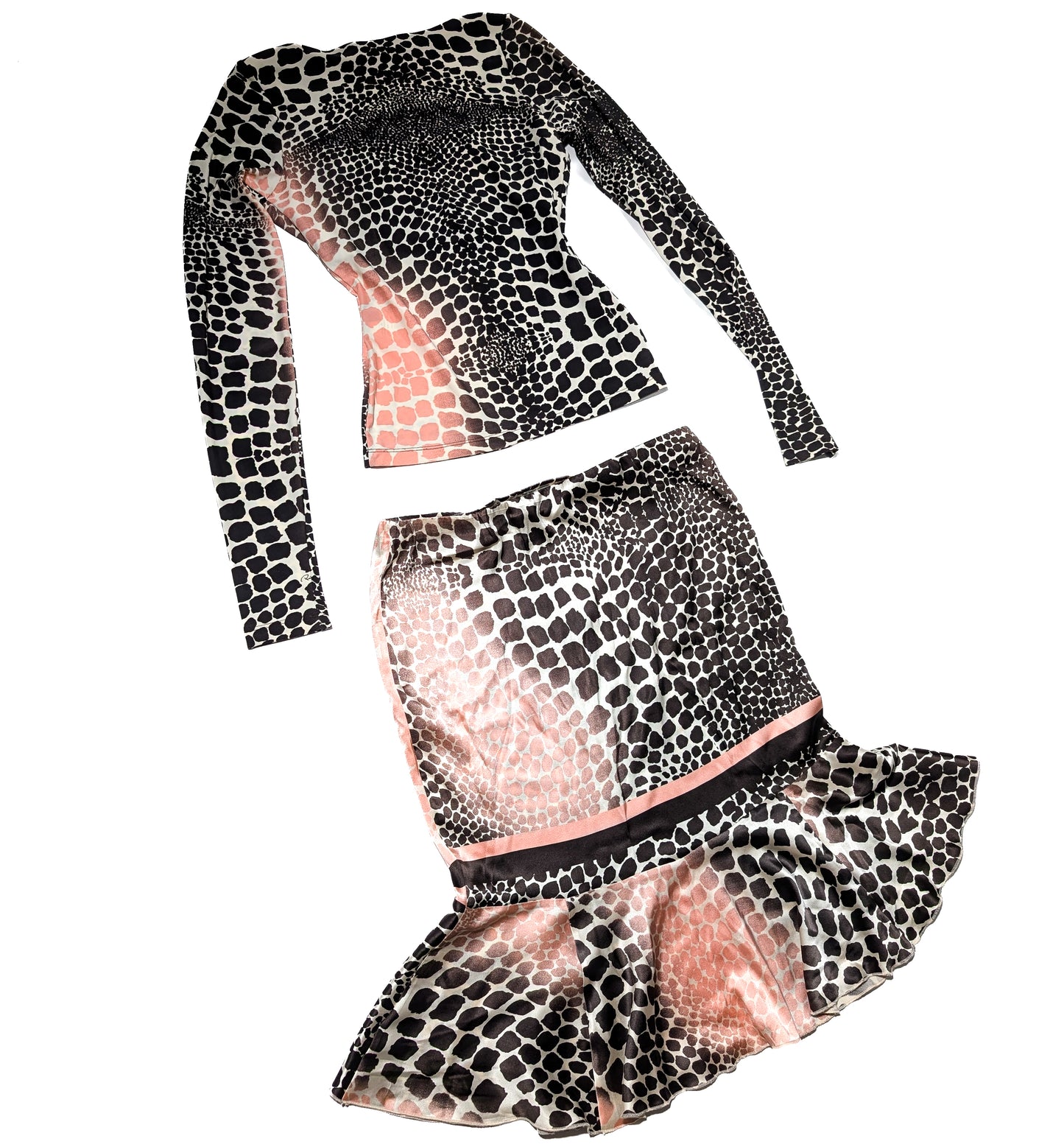 Roberto Cavalli S/S 2004 Outfit