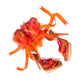 Dior by Galliano sandals S/S 2011 - EU36|UK3|US5